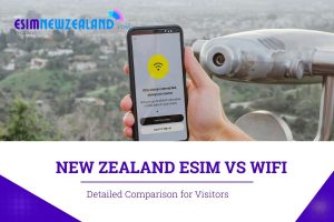 New Zealand esim vs wifi